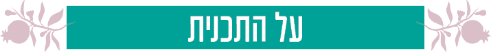על התכנית