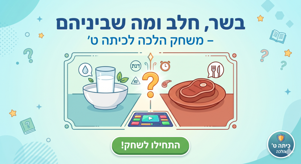 משחקון – בשר, חלב ומה שביניהם
