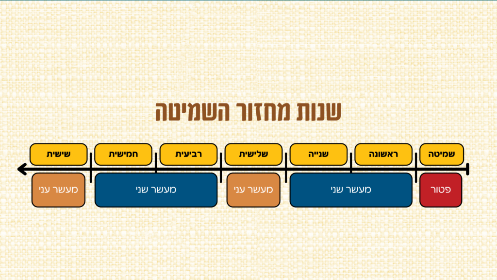 שנות מחזור השמיטה